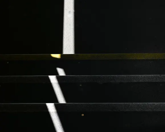 بلاي بوم كازينو الدعم